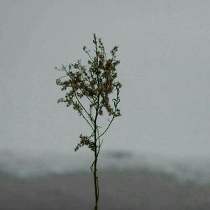 91蜜桃视频网站
