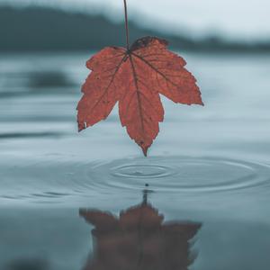 91蜜桃视频网站
